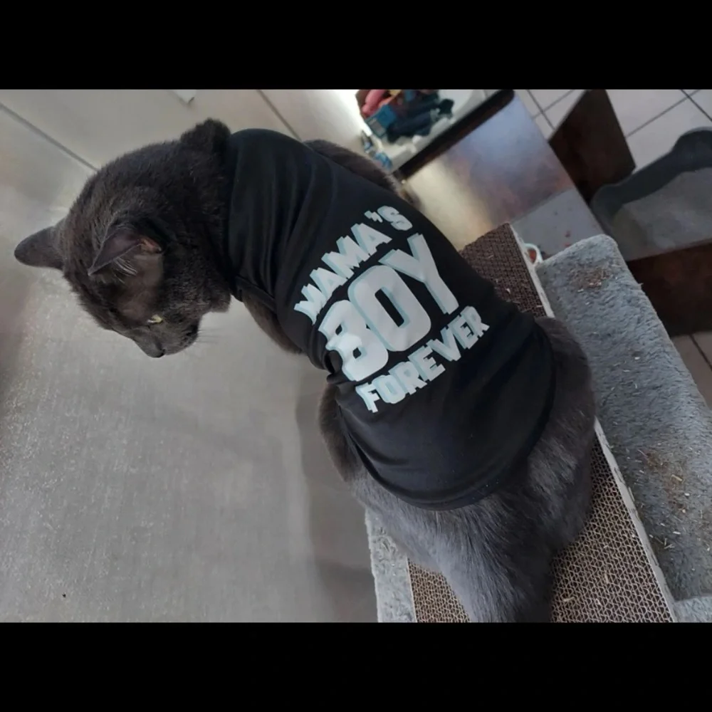 Letter graphic pet tank‎